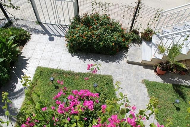 فاتيرا Alkioni Studios المظهر الخارجي الصورة